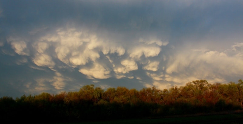 Before the beginning of a rain.