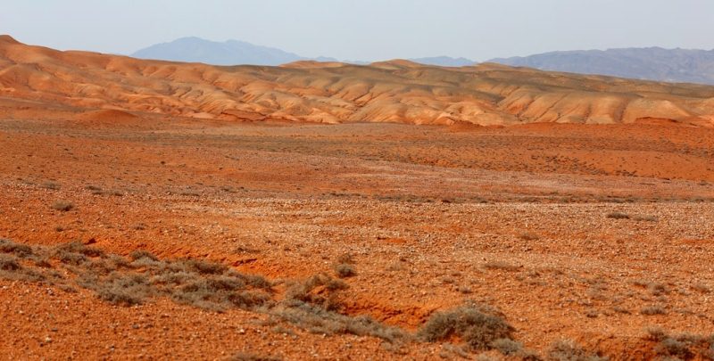 Semi-deserts of Central Kazakhstan.