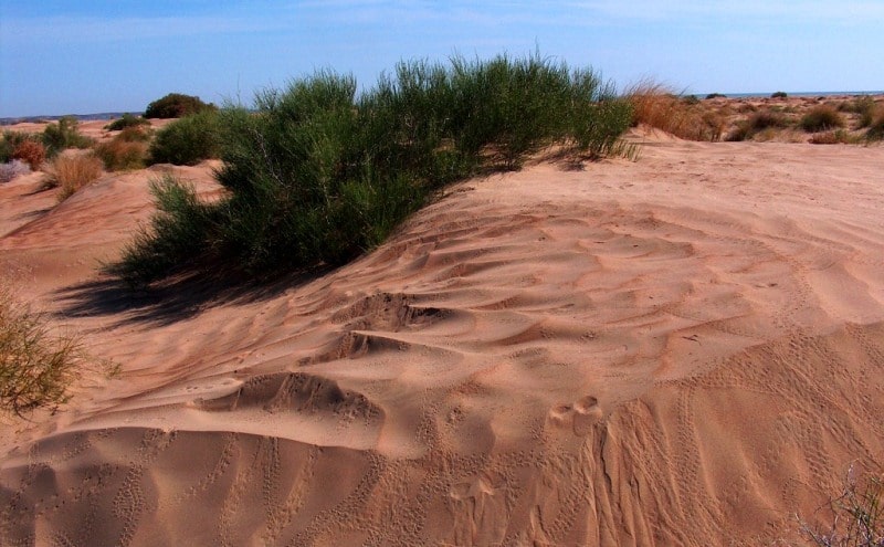 Sands Baskuduk and environs.