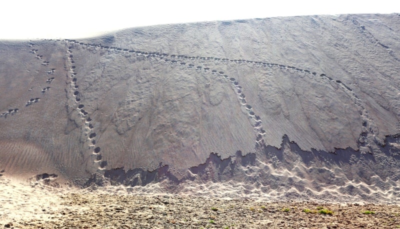 Sands Baskuduk and environs.