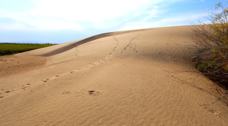 Sands Baskuduk and environs.