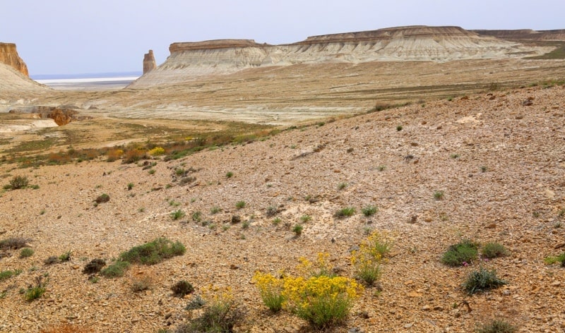 Ortasha Boszhira plateau.