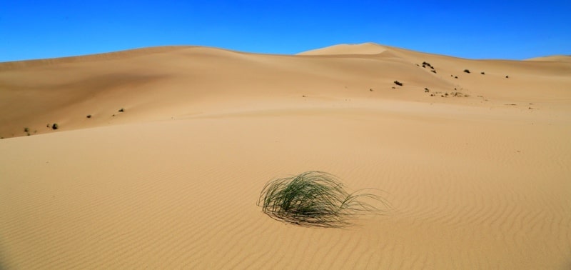 Sands Sauskan and environs.