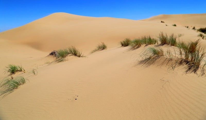 Sands Sauskan and environs.