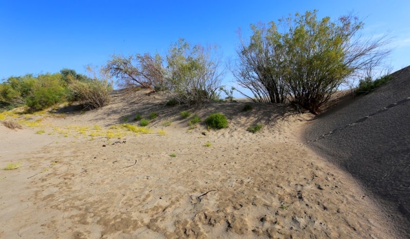 Sands Sentirkum and environs.