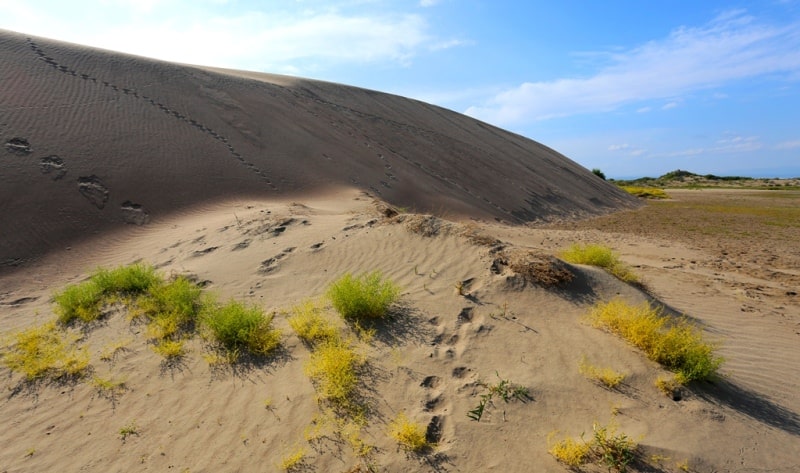 Sands Sentirkum and environs.