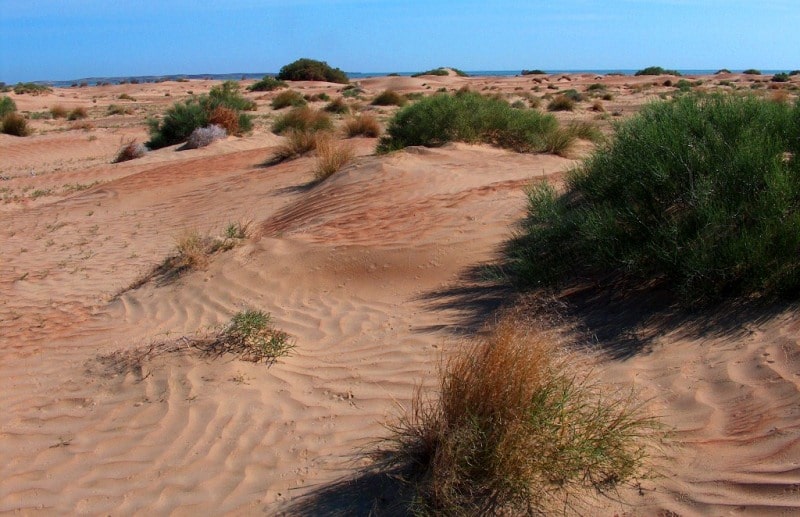 Sands Sentirkum and environs.