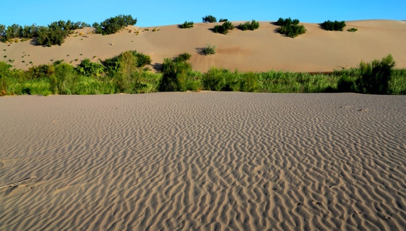 Sands Sholshagylkum and environs.