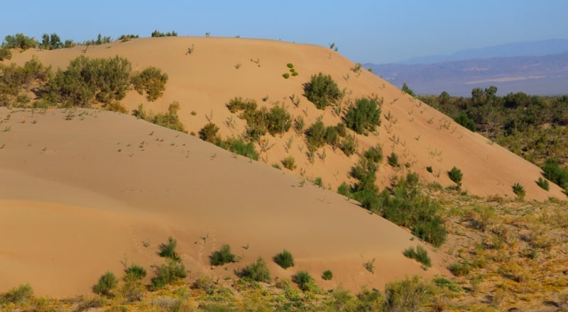 Sands Sholshagylkum and environs.