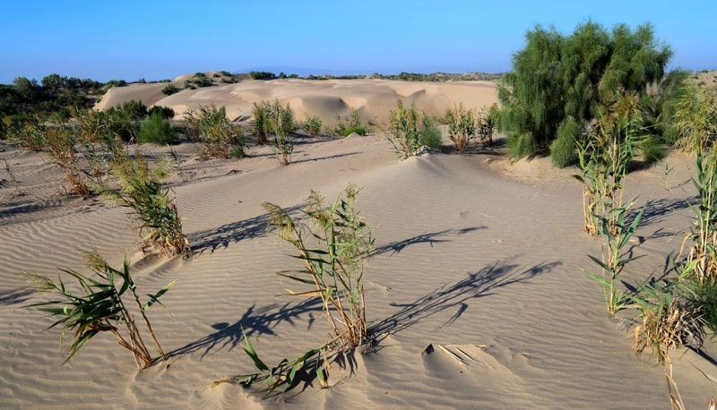 Sands Sholshagylkum and environs.