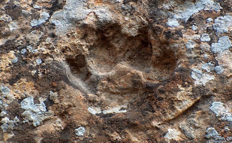 Footprints on hollow Zhygylgan.