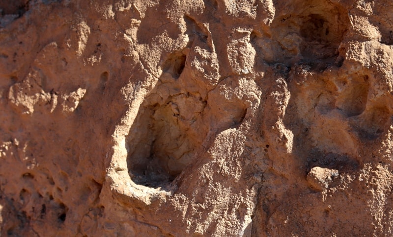 Footprints on hollow Zhygylgan.