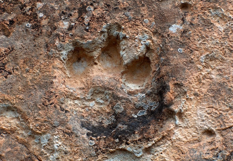 Footprints on hollow Zhygylgan.