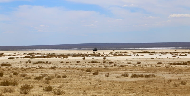 Saline march Mangyshlak.