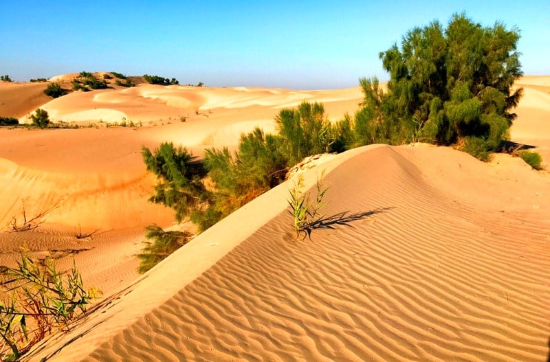 Tuyesu sands and environs.