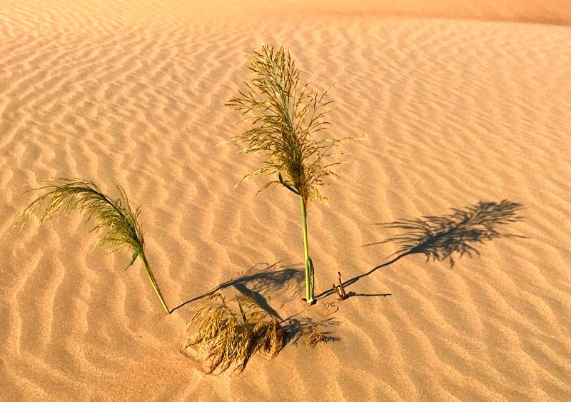 Tuyesu sands and environs.