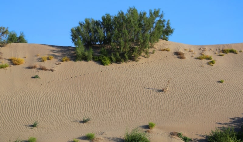 Tuyesu sands and environs.