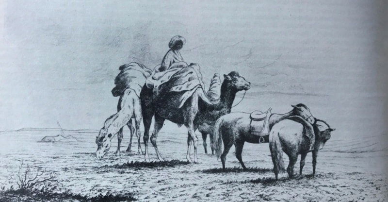 Киргизская женщина на верблюде.