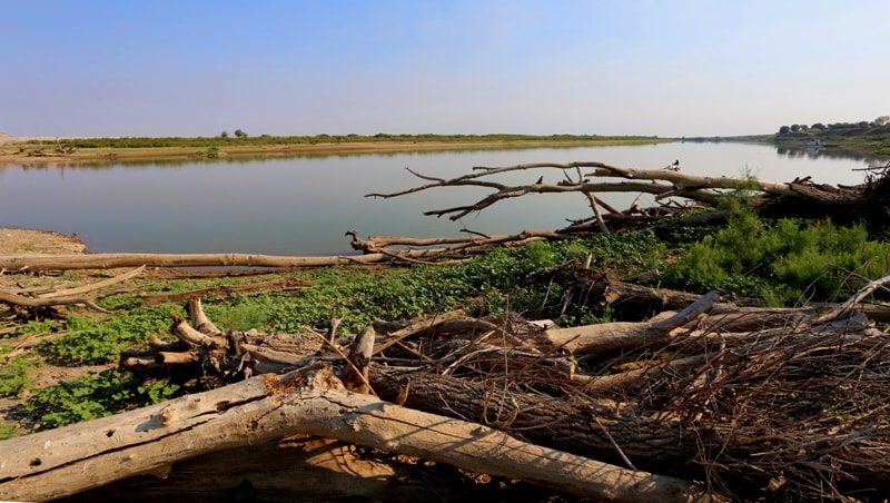 Ural River.