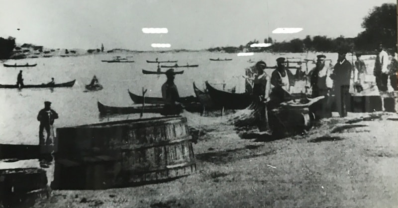 Рыбная промышленность в Яицке. 1904 год.