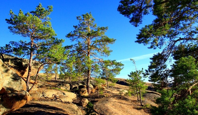 Aksoran valley. The mountains Kyzylaray. Karaganda region.