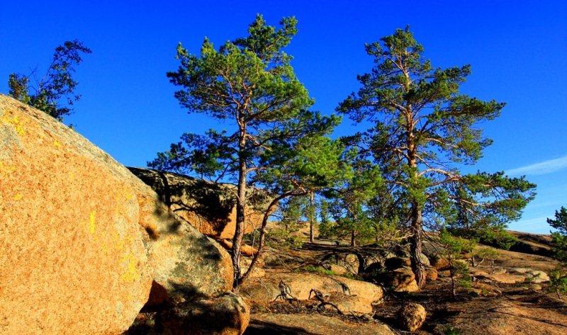 Aksoran valley. The mountains Kyzylaray. Karaganda region.