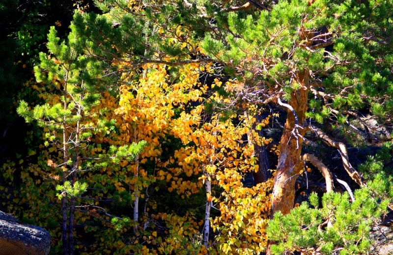 Auliye valley in Kyzylaray mountains. Karaganda province. 