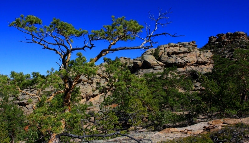 Auliye valley in Kyzylaray mountains. Karaganda province. 