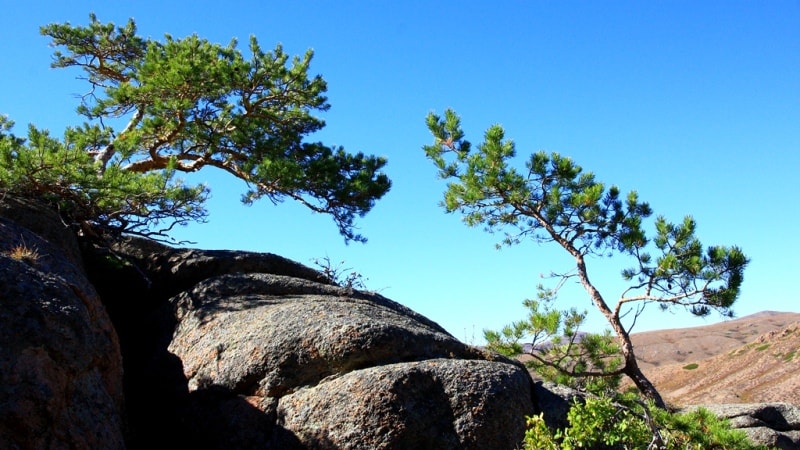 Auliye valley in Kyzylaray mountains. Karaganda province. 