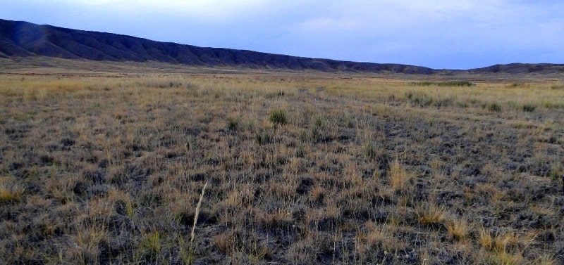 The Shunak Meteorite Crater and environs.