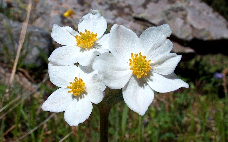 Natural sights of the Ivanovskiy ridge.