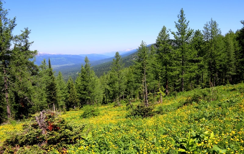 Natural sights of the Ivanovskiy ridge.