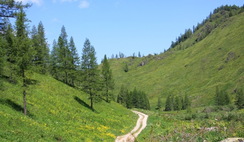 В горах Курчумского хребта.