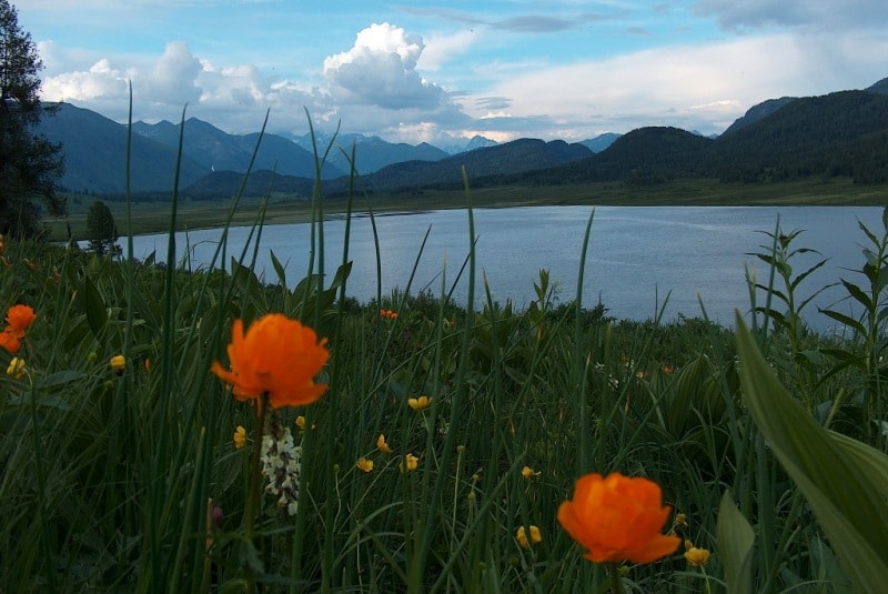 Lake Yazevoe in Katon-Karagai park.