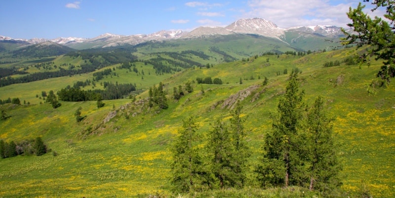 Vicinities of the pass of Alataysky. Mounts Altai.