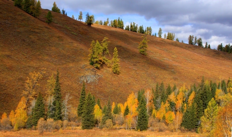 Vicinities of the pass of Alataysky. Mounts Altai.