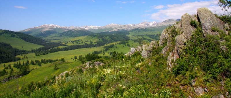 Vicinities of the pass of Alataysky. Mounts Altai.