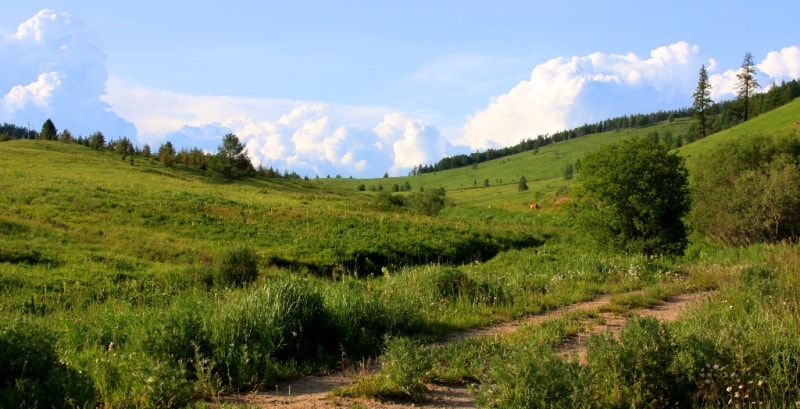 Vicinities of the pass of Alataysky. Mounts Altai.