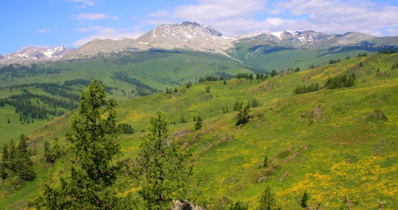 Vicinities of the pass of Alataysky. Mounts Altai.