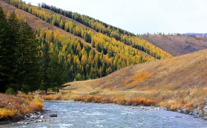 Vicinities of the pass of Alataysky. Mounts Altai.