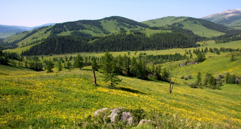 Окрестности перевала Алатайского. Горы Алтай.