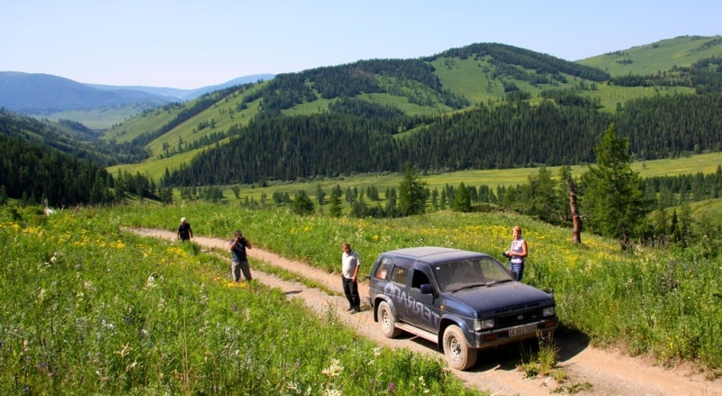 Vicinities of the pass of Alataysky. Mounts Altai.