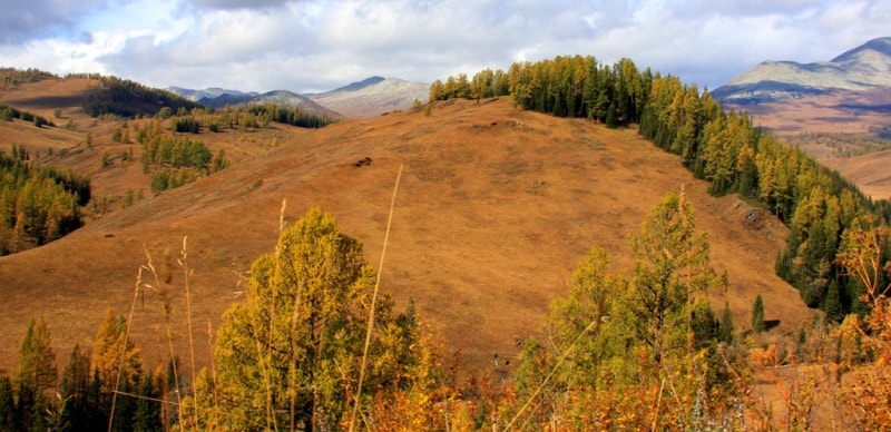 Vicinities of the pass of Alataysky. Mounts Altai.