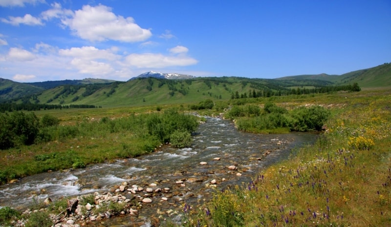 Travel on Austrian Road in Altai.