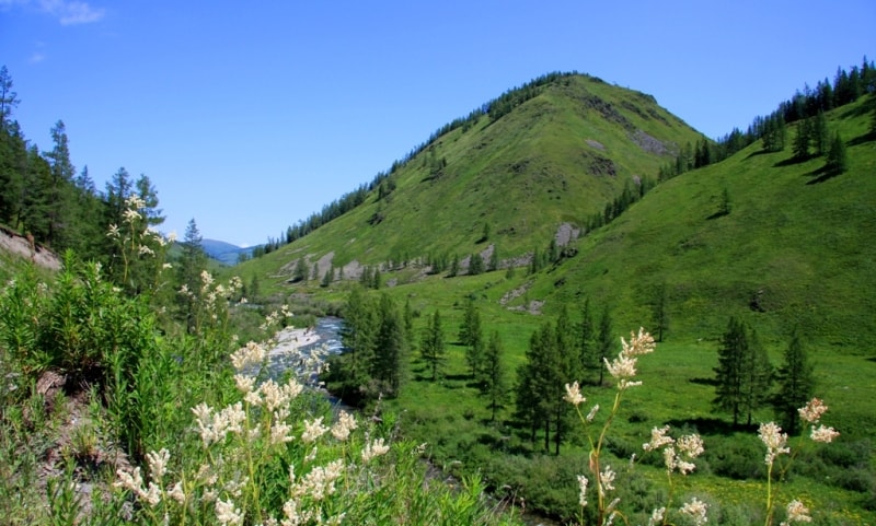 The nature of the Kazakhstan Altai in vicinities of the Austrian road.