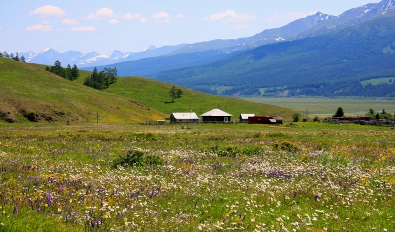 Travel on Austrian Road in Altai.