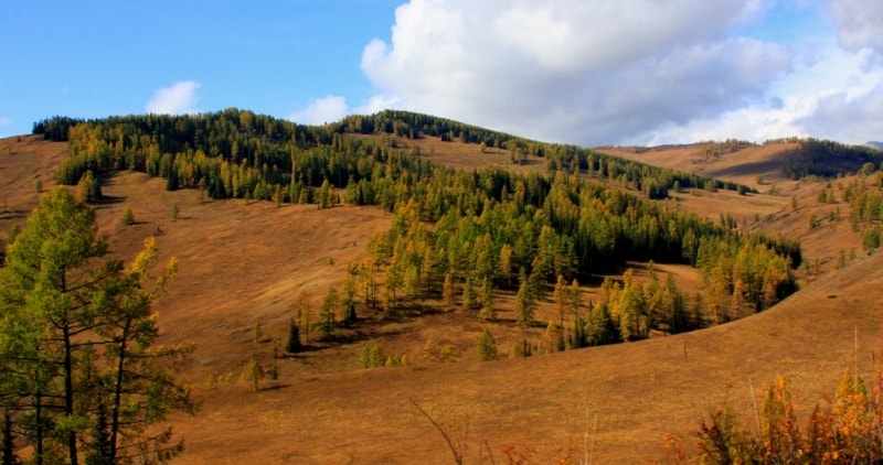 Travel on Austrian Road in Altai.