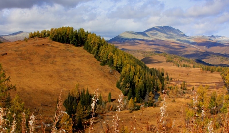 Travel on Austrian Road in Altai.