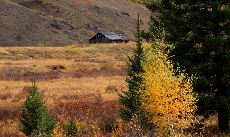 The nature of the Kazakhstan Altai in vicinities of the Austrian road.