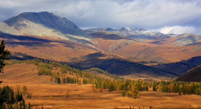 The nature of the Kazakhstan Altai in vicinities of the Austrian road.